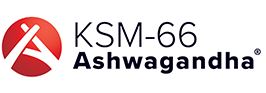 KSM-logo.JPG