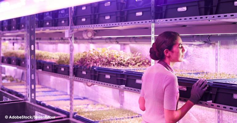 uv light in greenhouse